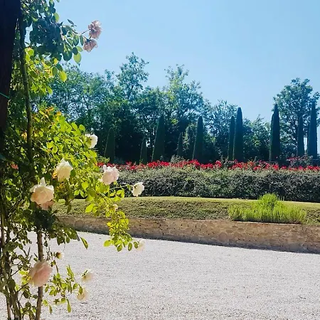 San Marco - Teloni Fratte Rosa